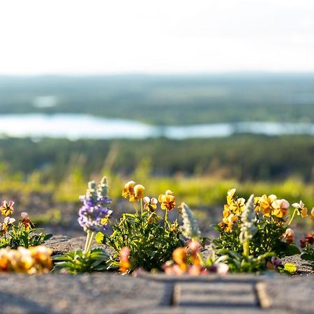 Holiday In Lapland - Levi Postintie 3B 322 Kültér fotó